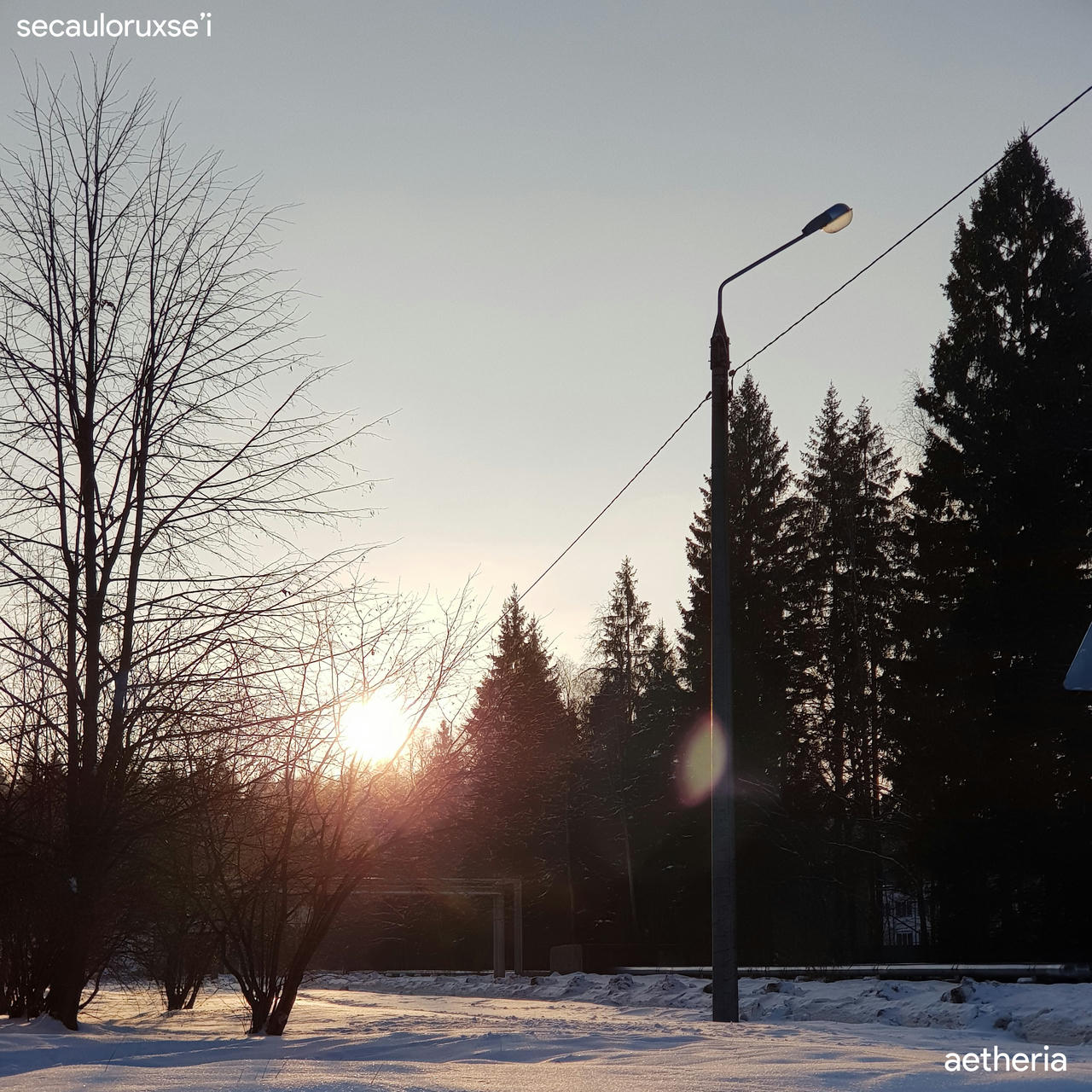 a photograph of a winter landscape, sun is shining into the camera, there are pine trees and a street light with some wires going into it