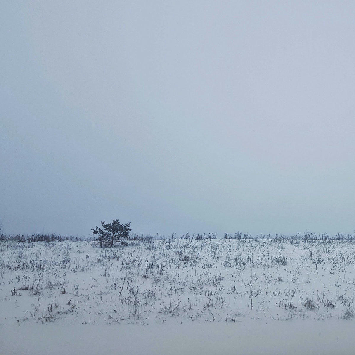 an abstact photograph of a winter landscape. there is almost nothing there, just plain white ground covered in snow and bluish-grey skies