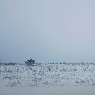 an abstact photograph of a winter landscape. there is almost nothing there, just plain white ground covered in snow and bluish-grey skies